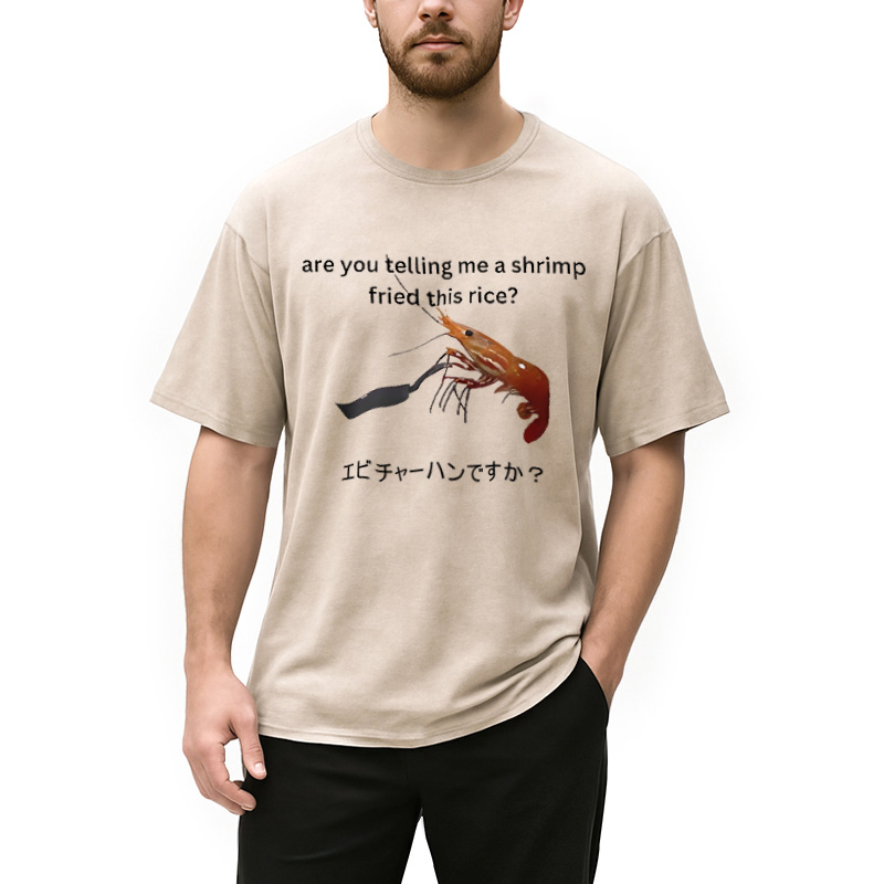 Modecanvas Are You Telling Me a Shrimp Fried This Rice Washed T-Shirt