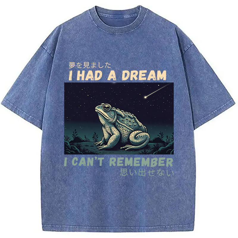 Modecanvas I Had A Dream Toad DTG Printing Washed T-Shirt
