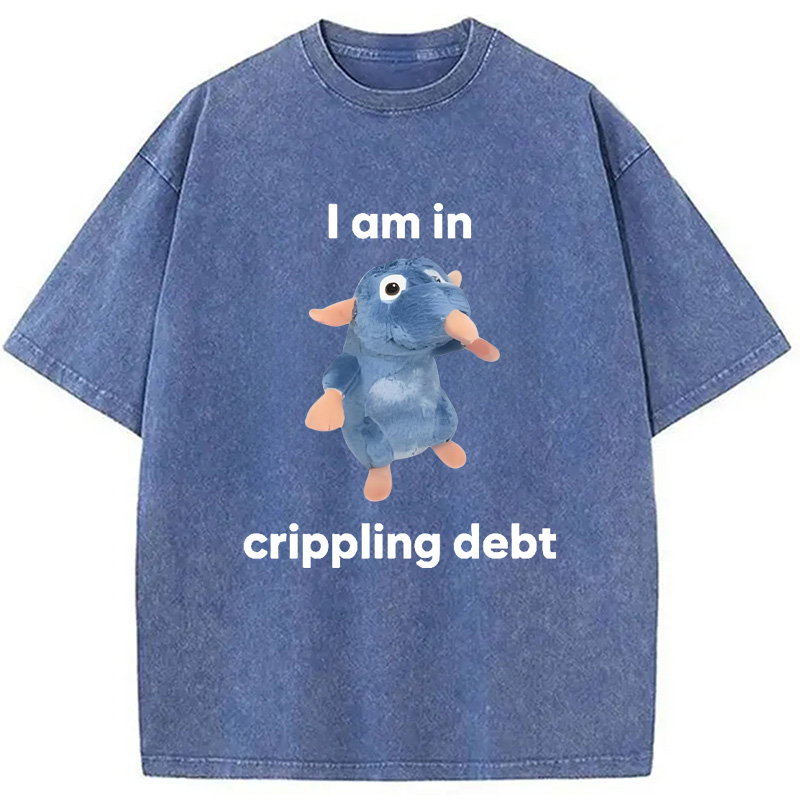 Modecanvas I Am in Crippling Debt Washed T-Shirt