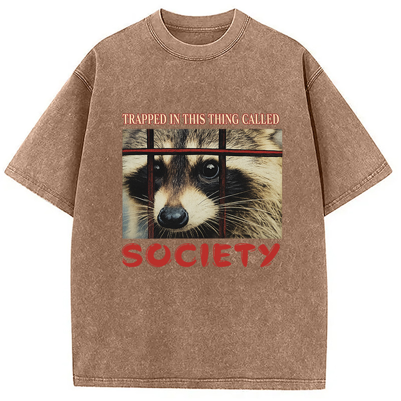 Modecanvas Society Raccoon Washed T-Shirt