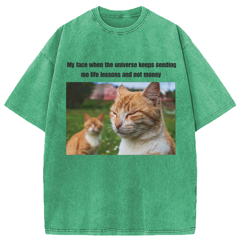 Modecanvas Grumpy Cat Meme DTG Printing Washed T-Shirt