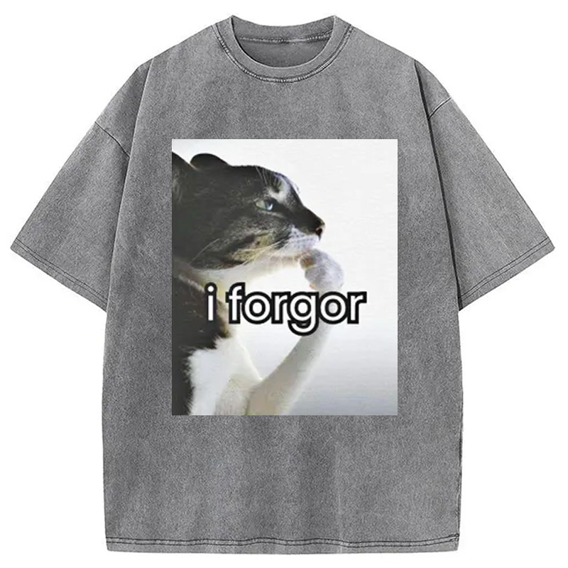 Modecanvas I Forgor Cat Meme Washed T-Shirt