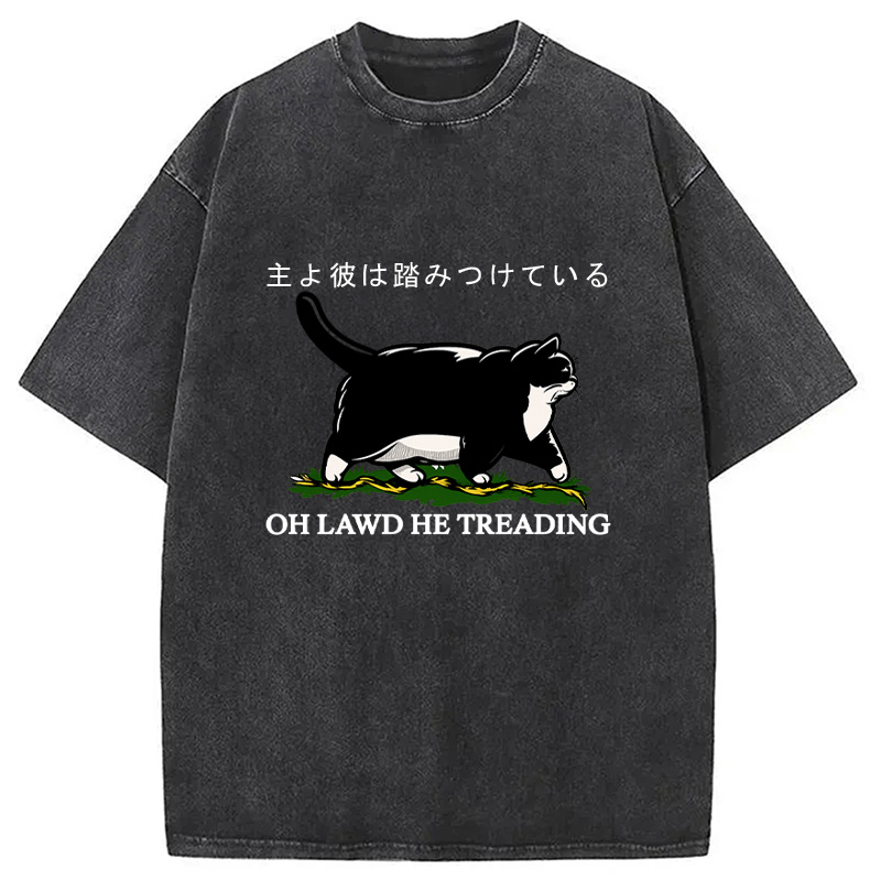 Modecanvas Oh Lawd He Treading Tuxedo Cat Washed T-Shirt