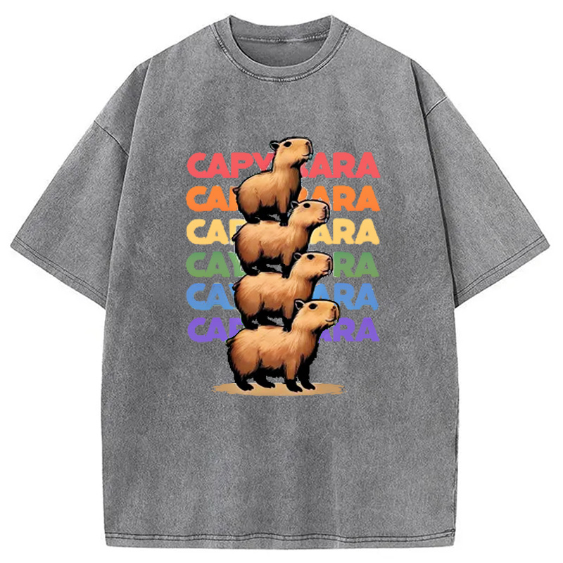 Modecanvas Funny Capybara Washed T-Shirt