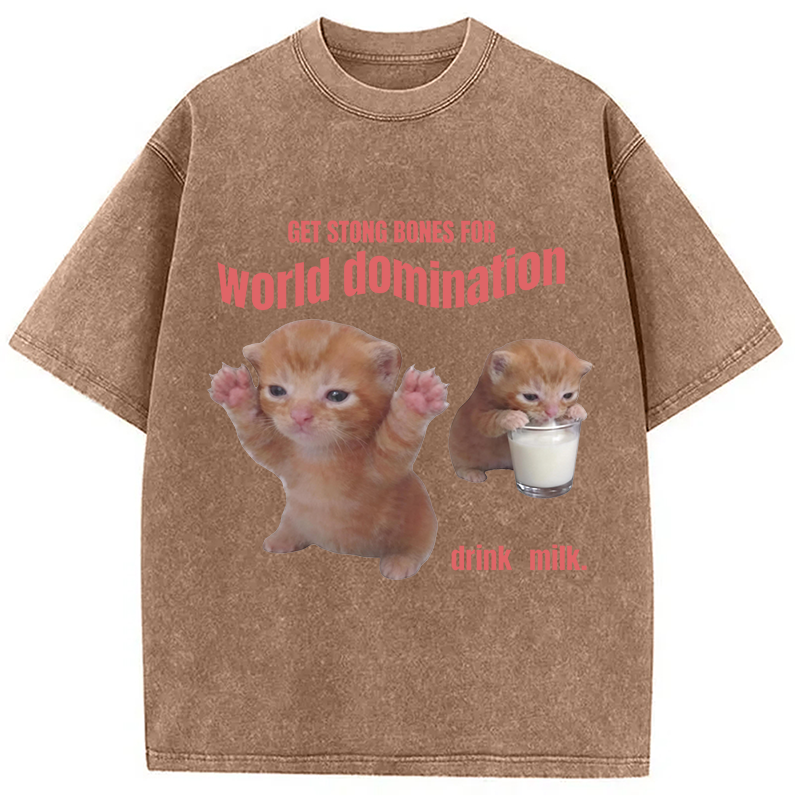 Modecanvas World Domination Cat Meme DTG Printing Washed T-Shirt