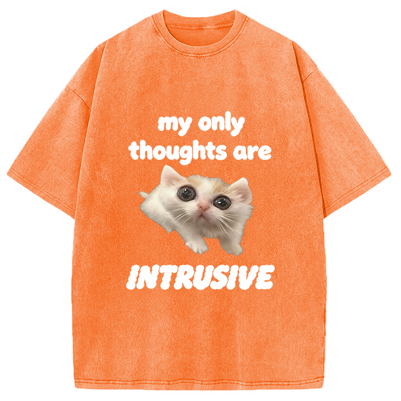 Modecanvas My Thoughts Are Only Intrusive Cat DTG Printing Washed T-Shirt