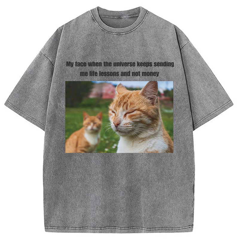 Modecanvas Grumpy Cat Meme DTG Printing Washed T-Shirt