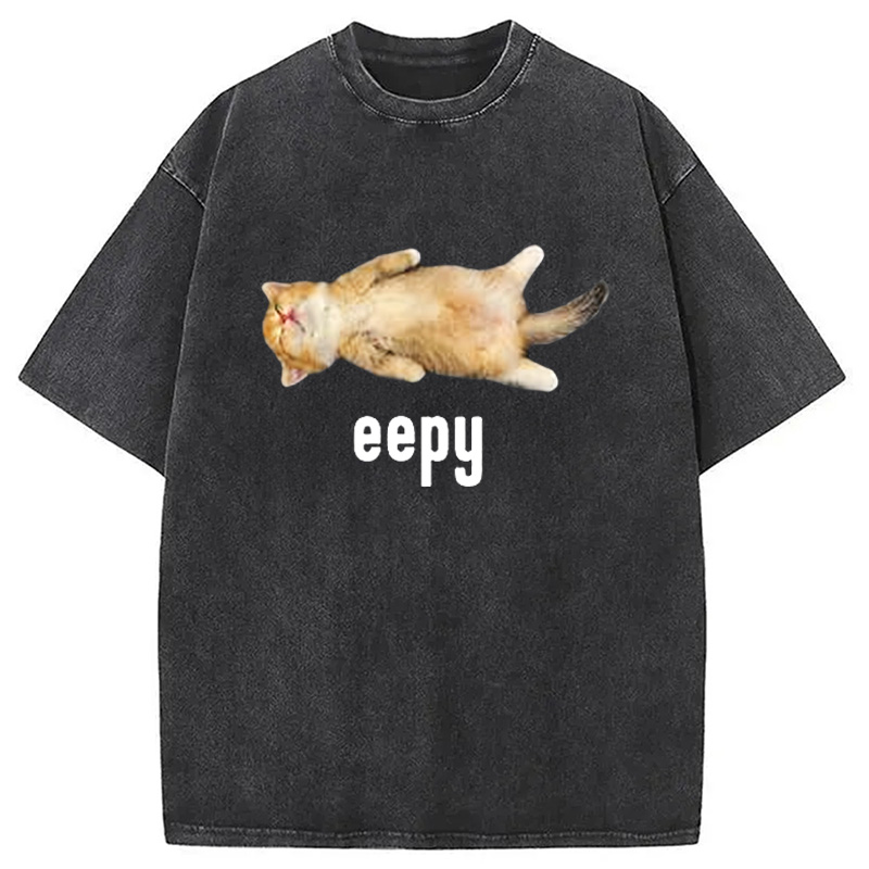 Modecanvas Silly Sleepy Cat Meme Washed T-Shirt-modecanvas