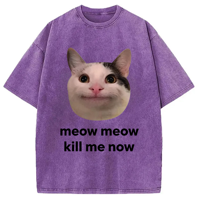 Modecanvas Meow Meow Kill Me Now Polite Cat Meme DTG Printing Washed T-Shirt