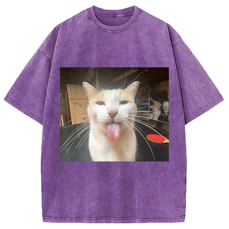 Modecanvas Silly Bleh Funny Cat Meme DTG Printing Washed T-Shirt