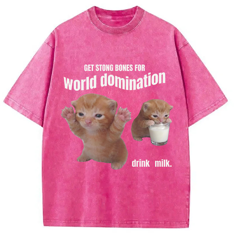Modecanvas World Domination Cat Meme DTG Printing Washed T-Shirt