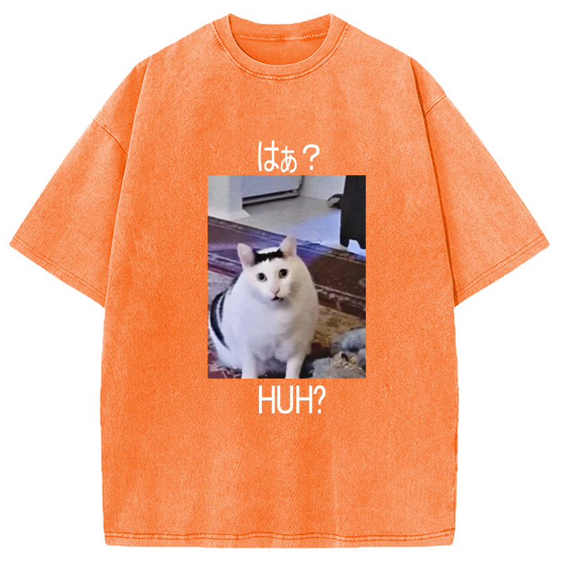 Modecanvas Huh? Funny Cat Meme Washed T-Shirt-modecanvas