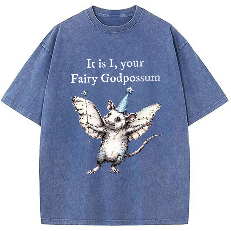 Modecanvas It Is I, Your Fairy Godpossum DTG Printing Washed T-Shirt