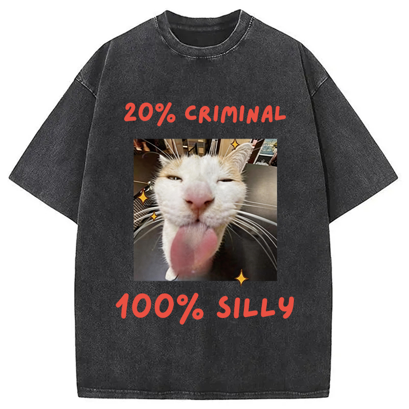 Modecanvas That Silly Cat Meme DTG Printing Washed T-Shirt