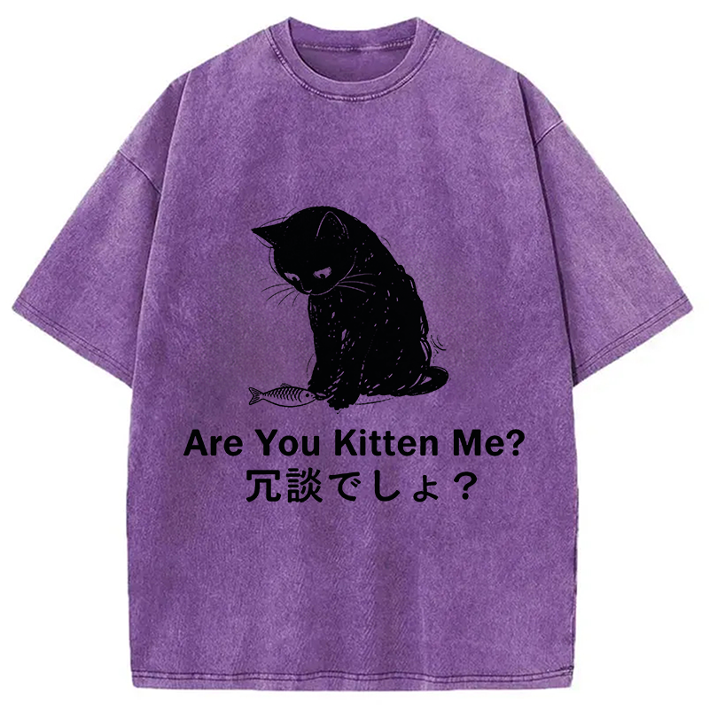 Modecanvas Are You Kitten Me DTG Printing Washed T-Shirt