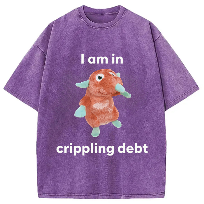 Modecanvas I Am In Crippling Debt Funny Meme DTG Printing Washed T-Shirt