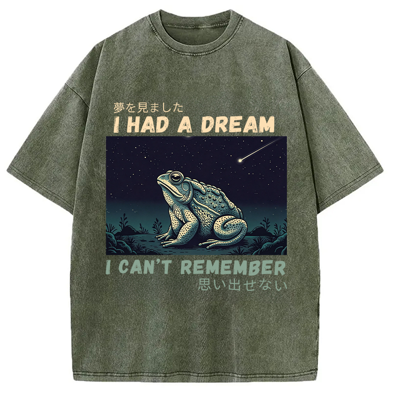Modecanvas I Had A Dream Toad DTG Printing Washed T-Shirt