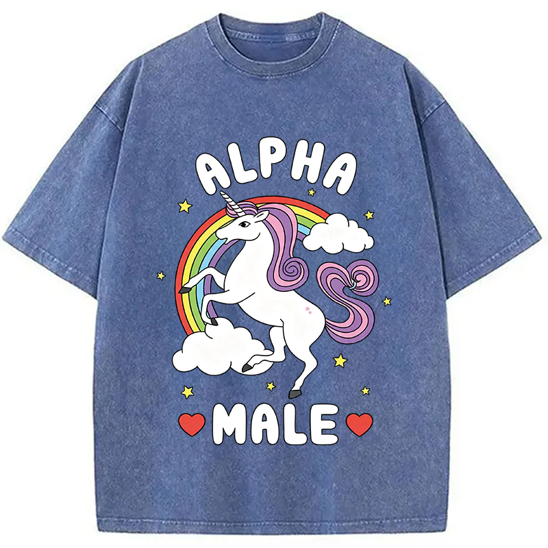 Modecanvas Alpha Male Energy Unicorn DTG Printing Washed T-Shirt