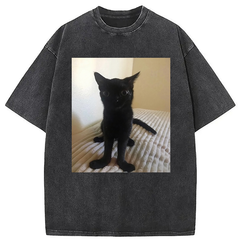 Modecanvas Big Foot Jinx Black Cat Washed T-Shirt