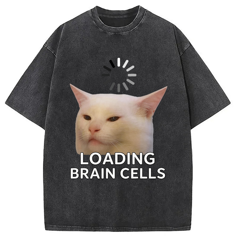 Modecanvas Loading Brain Cells Joke DTG Printing Washed T-Shirt
