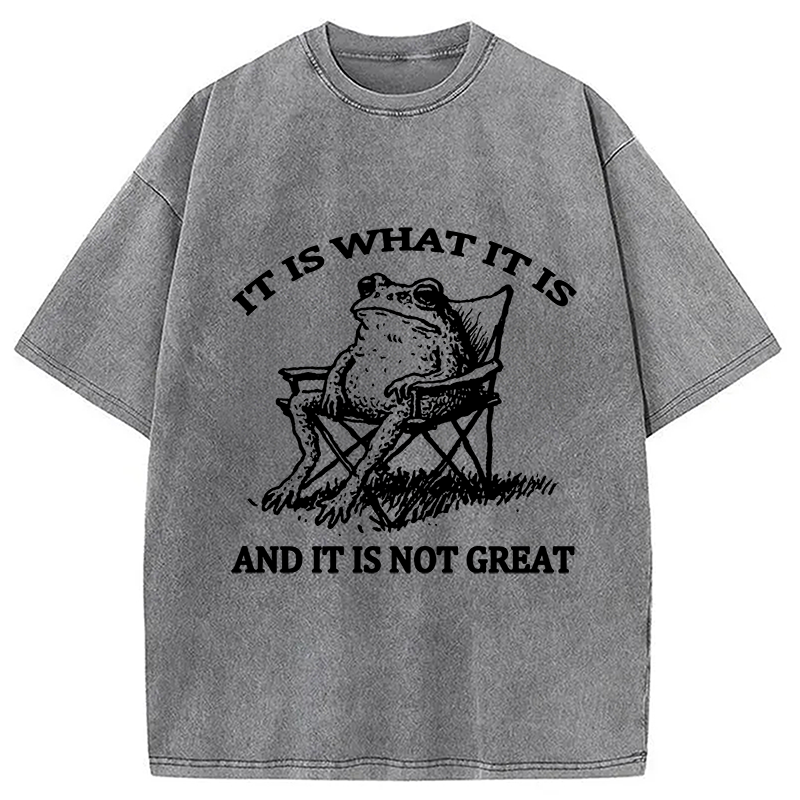 Modecanvas Resting Frog Funny Washed T-Shirt-modecanvas
