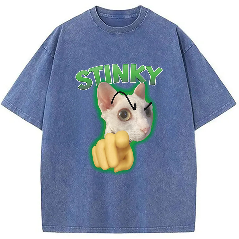 Modecanvas Stinky Funny Cat Meme DTG Printing Washed T-Shirt