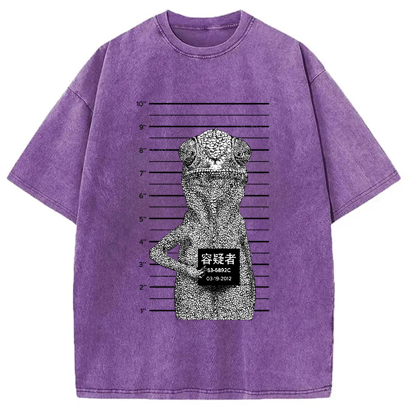 Modecanvas Suspect Lizard Washed T-Shirt