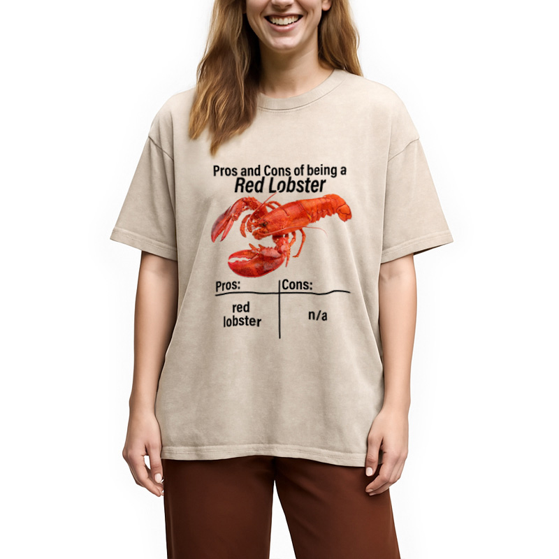 Modecanvas Pros And Cons Washed T-Shirt