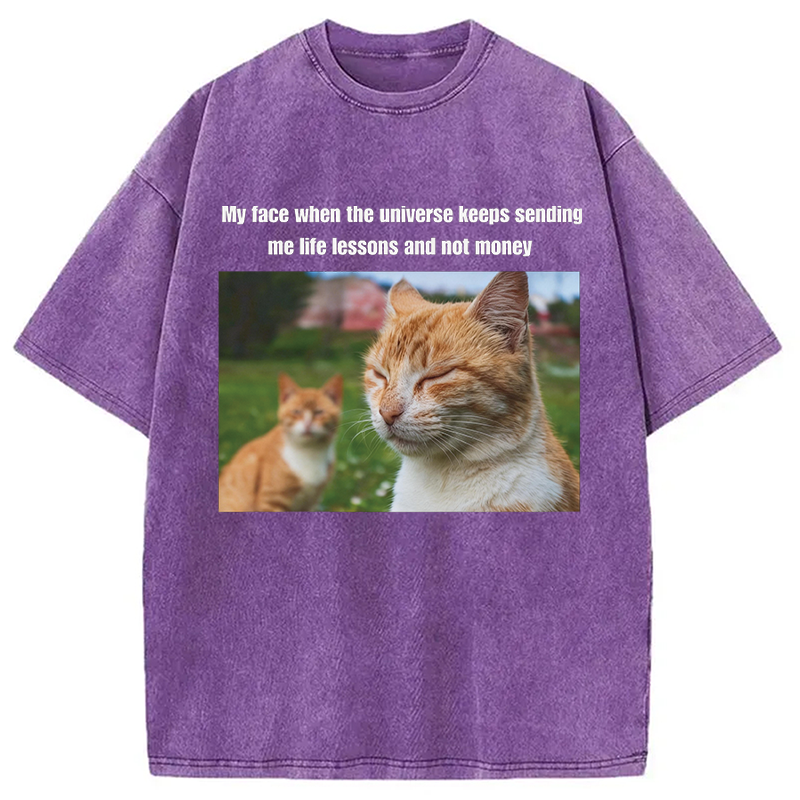 Modecanvas Grumpy Cat Meme DTG Printing Washed T-Shirt