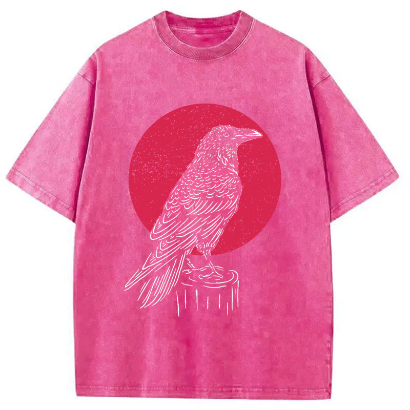 Modecanvas Viking Raven Crow Witchcraft Occult Pagan Washed T-Shirt