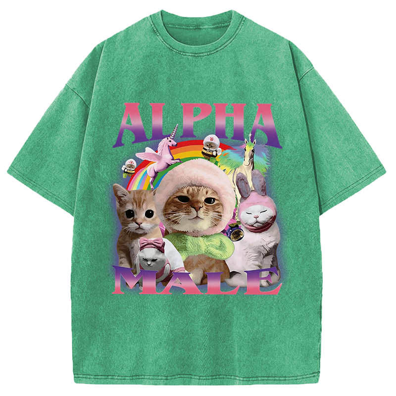 Modecanvas Alpha Male Funny Cat Meme DTG Printing Washed T-Shirt