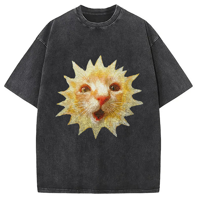 Modecanvas Sun Cat Meme DTG Printing Washed T-Shirt