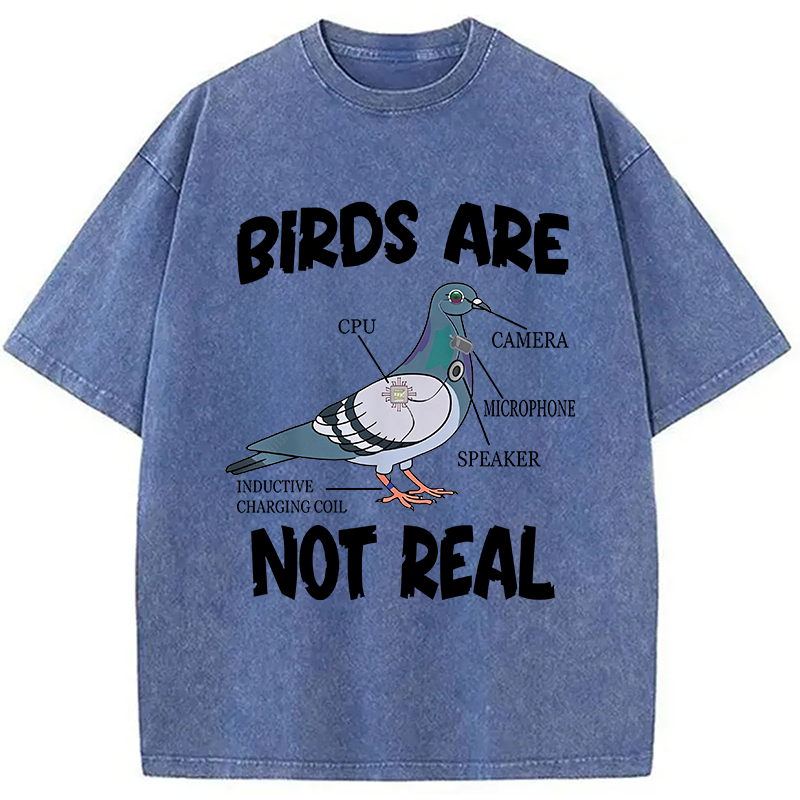 Modecanvas Pigeon Birds Are Not Real Funny DTG Printing Washed T-Shirt