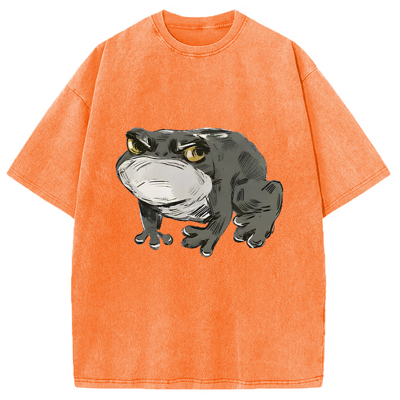 Modecanvas Japanese Frog Retro Washed T-Shirt