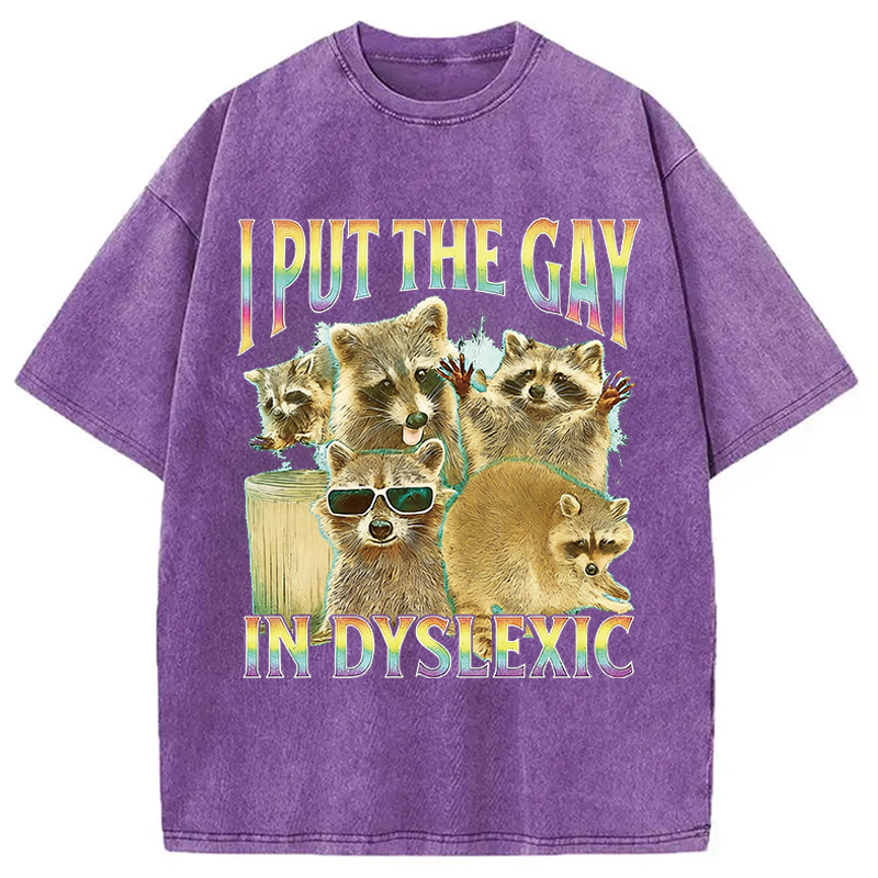 Modecanvas I Put The Gay In Dyslexic Funny Raccoon Meme DTG Printing Washed T-Shirt