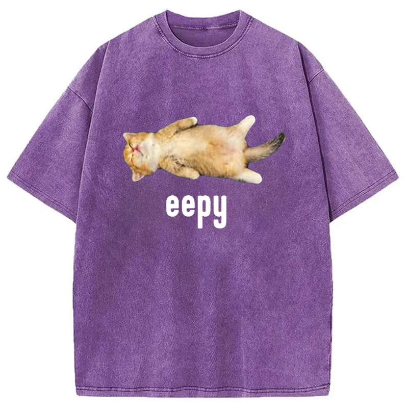 Modecanvas Silly Sleepy Cat Meme Washed T-Shirt-modecanvas