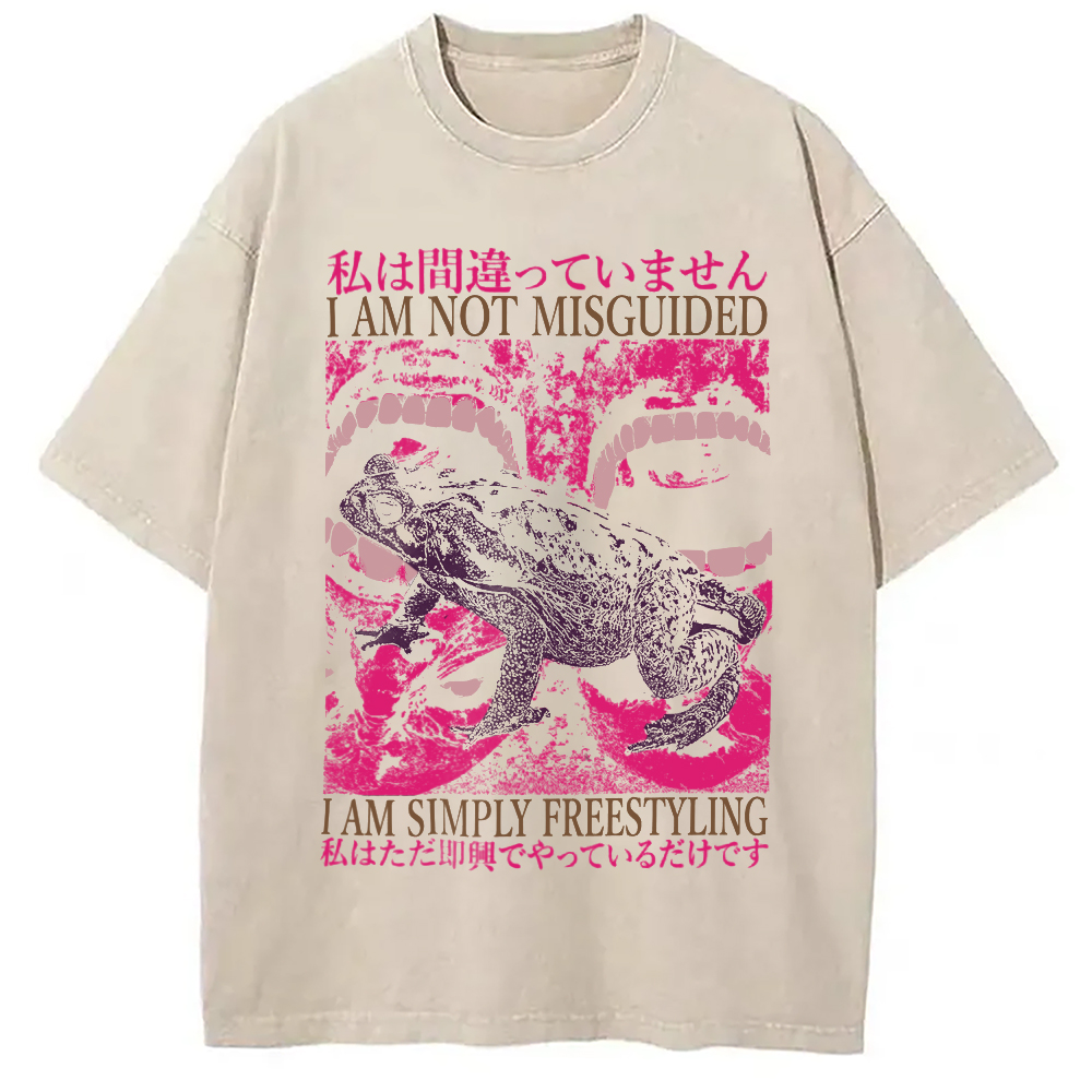 Modecanvas I Am Not Misguided Vintage Japanese Frog  Washed T-Shirt