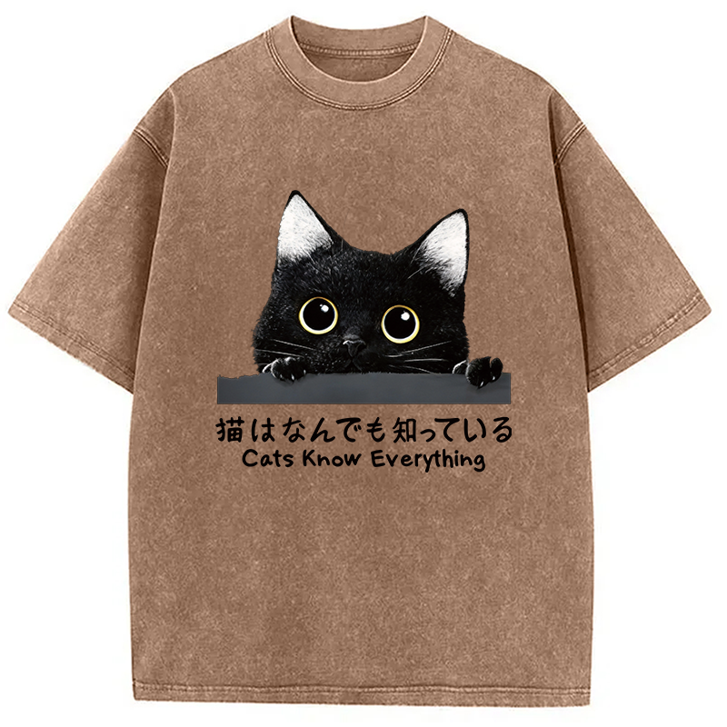 Modecanvas Cats Know Everything DTG Printing Washed T-Shirt-modecanvas