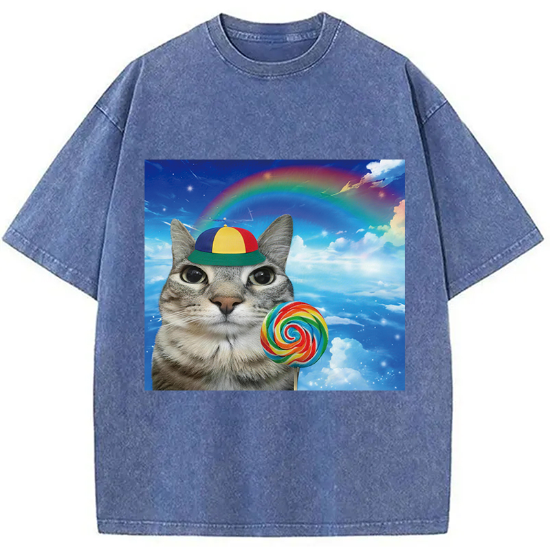 Modecanvas Wholesome Rainbow Cat DTG Printing Washed T-Shirt