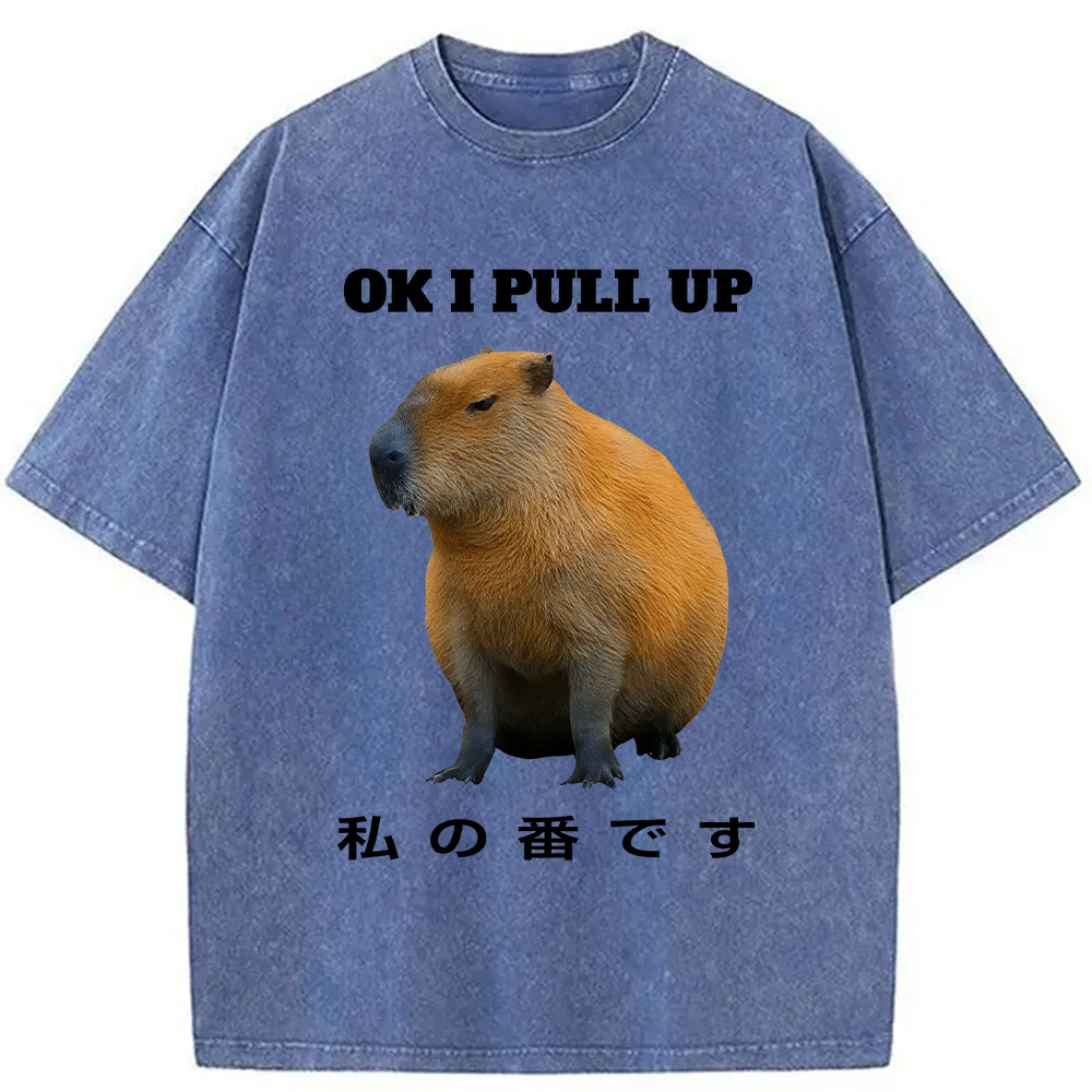 Modecanvas Ok I Pull Up Funny Capybara Washed T-Shirt