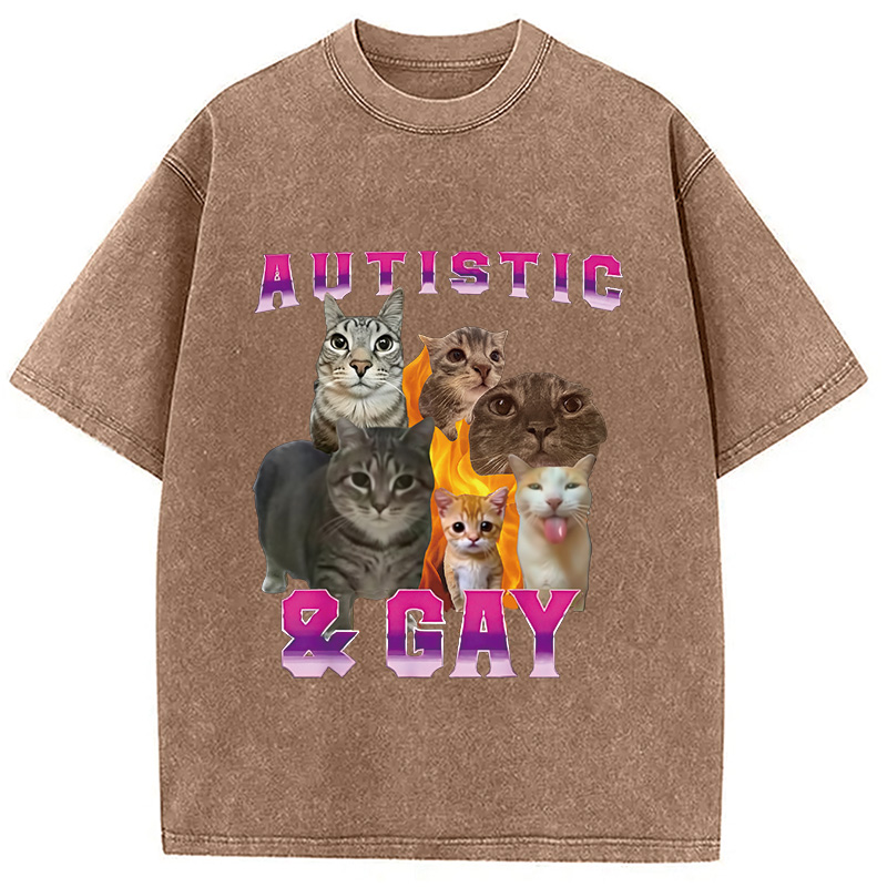 Modecanvas Funny Memes Brainrot Brain Rot Washed T-Shirt