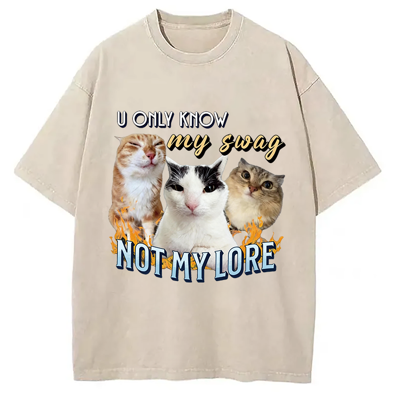 Modecanvas Funny Y2K Cat Meme DTG Printing Washed T-Shirt