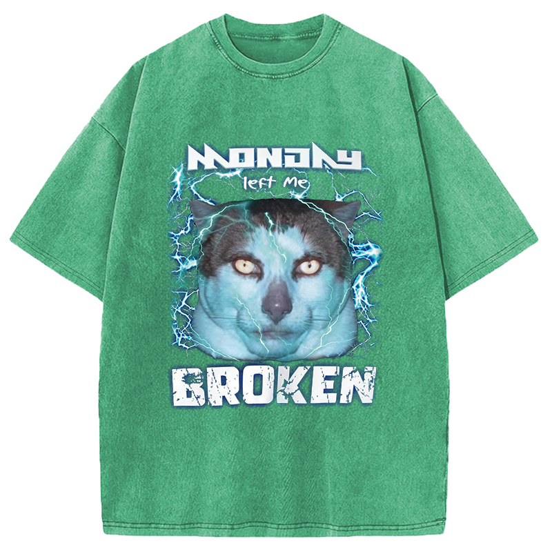 Modecanvas Monday Left Me Broken Cat DTG Printing Washed T-Shirt