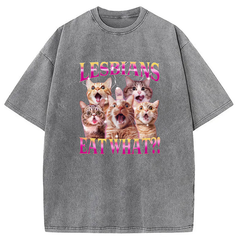 Modecanvas Funny Lesbian Cat Washed T-Shirt