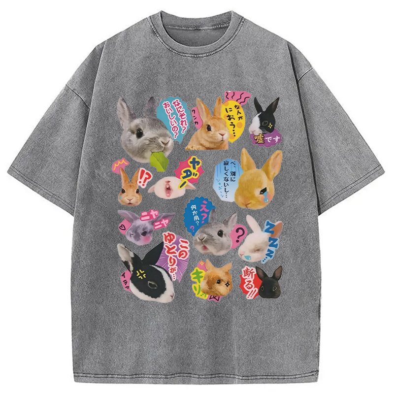 Modecanvas Japanese Bunny DTG Printing Washed T-Shirt