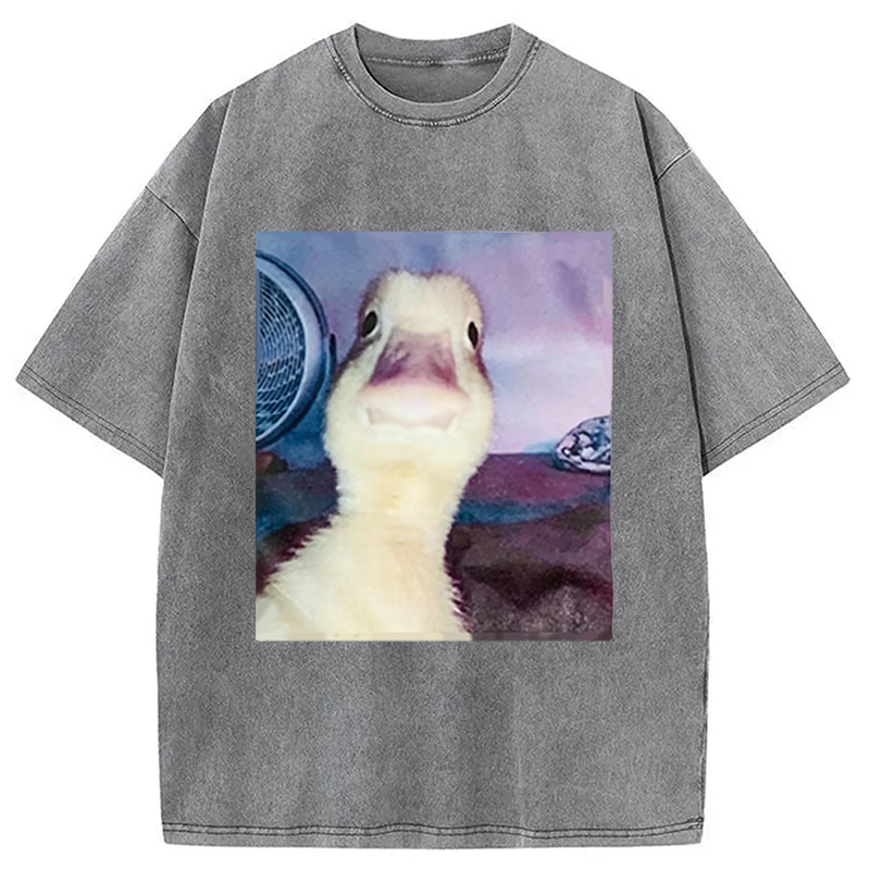 Modecanvas Duck Stare Funny Meme DTG Printing Washed T-Shirt