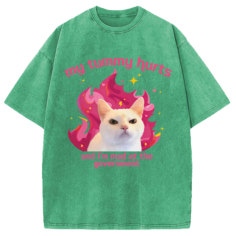 Modecanvas My Tummy Hurts Funny Cat Meme DTG Printing Washed T-Shirt