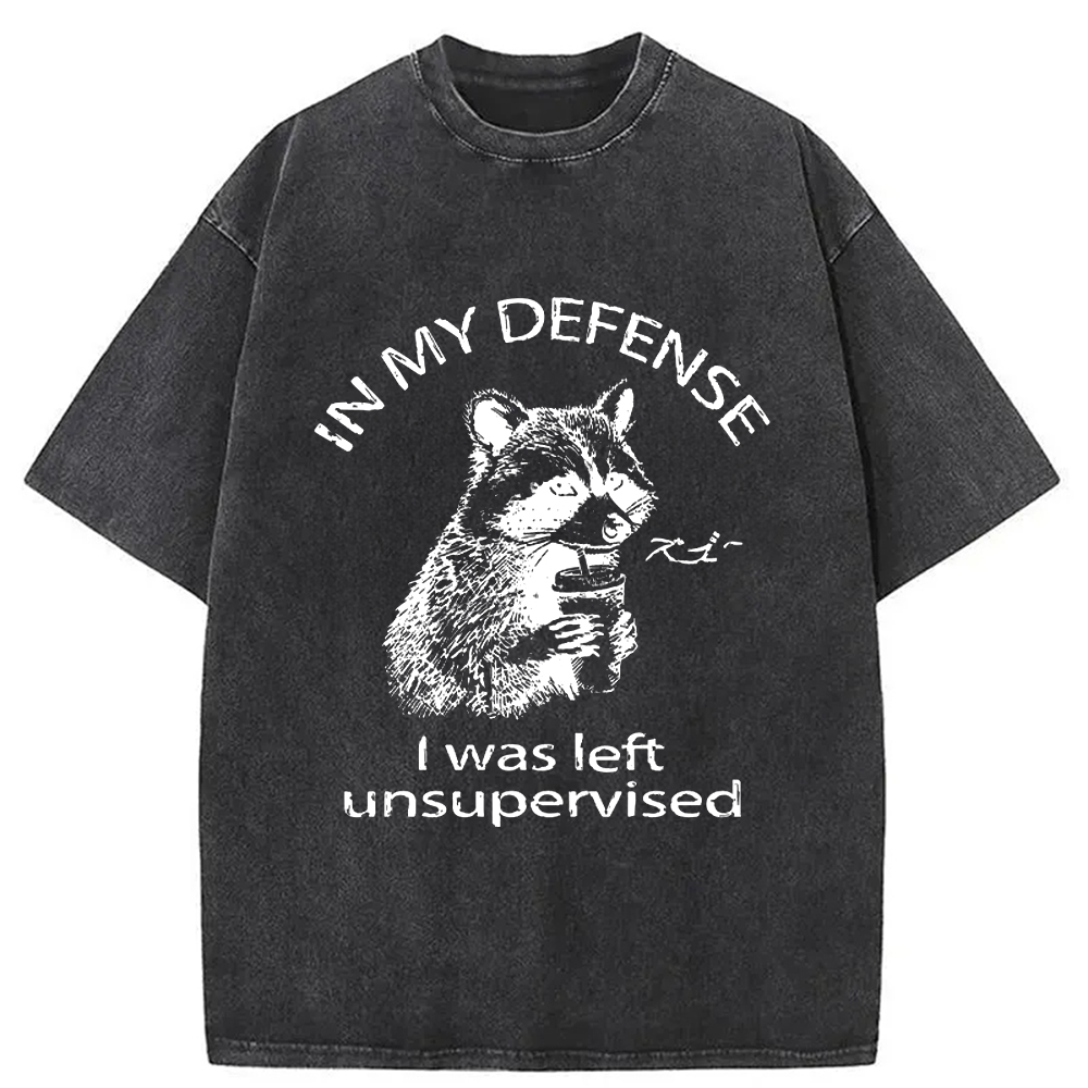 Modecanvas Left Unsupervised Raccoon Washed T-Shirt