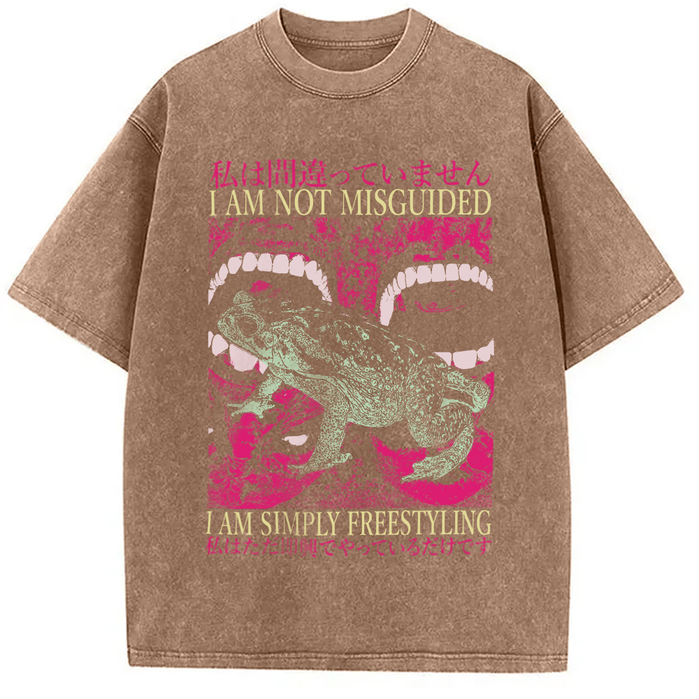 Modecanvas I Am Not Misguided Vintage Japanese Frog  Washed T-Shirt