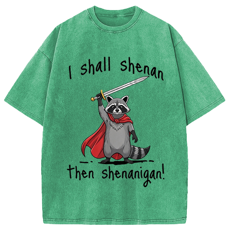 Modecanvas I Shall Shenan Cute Raccoon Meme DTG Printing Washed T-Shirt